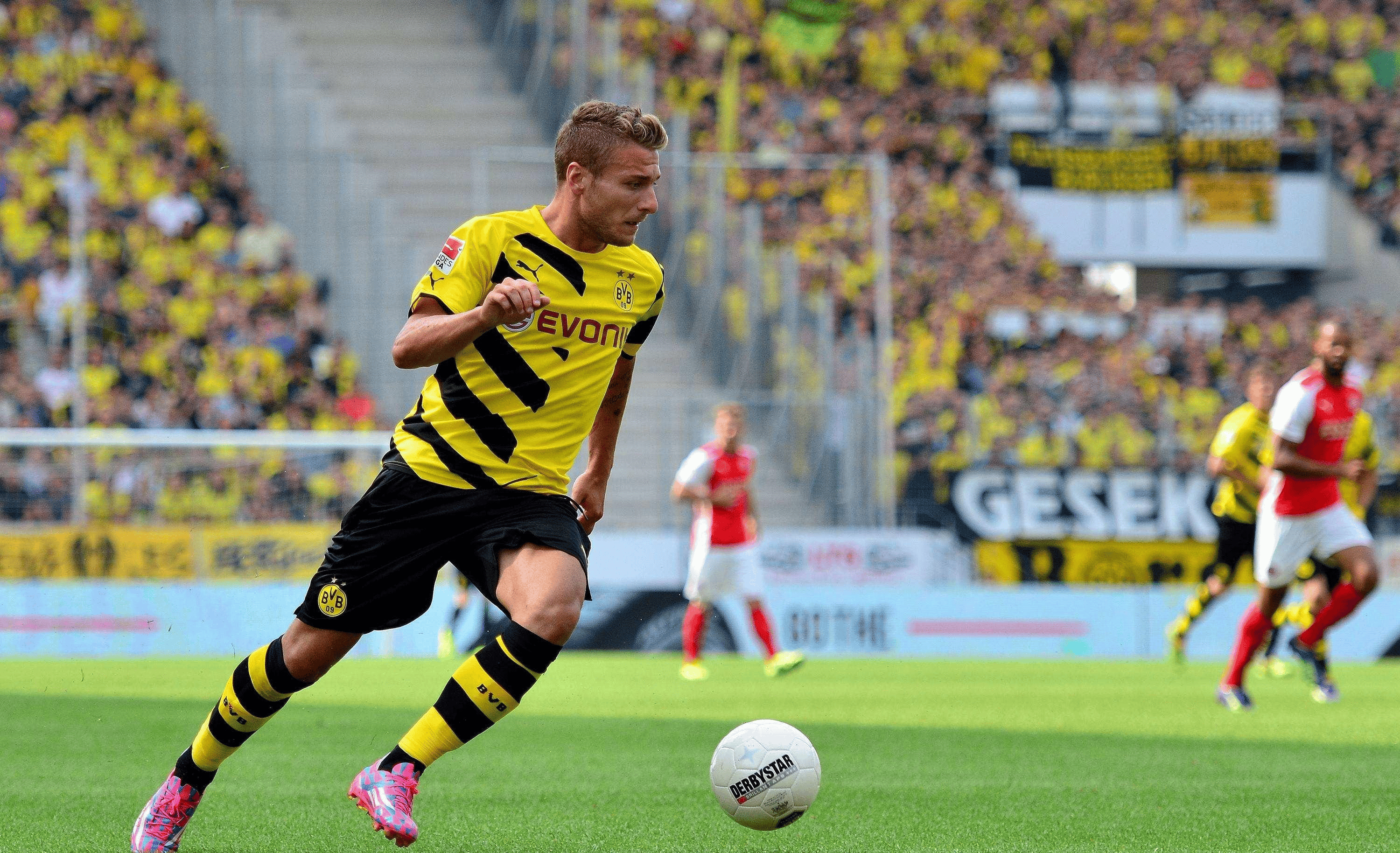 包含荷兰射出致命箭风采四射挺进的词条